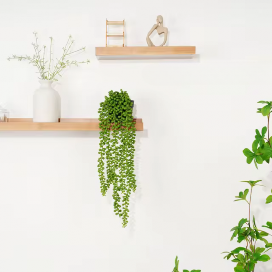 Artificial Plant